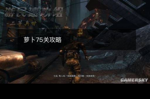 萝卜75关攻略