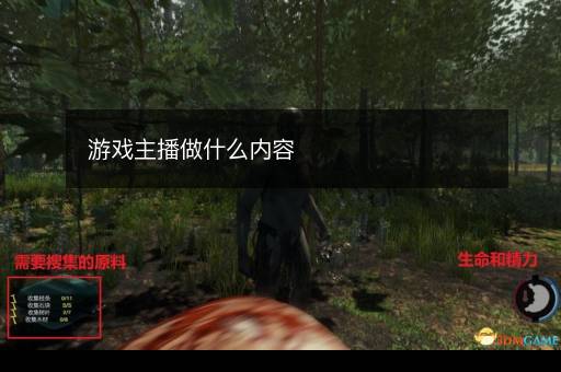 游戏主播做什么内容