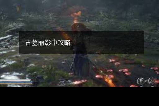 古墓丽影中攻略